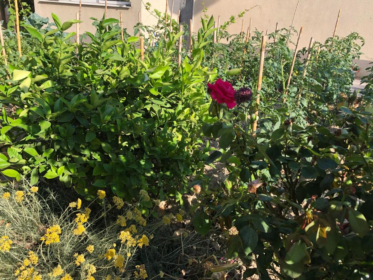 Garden Apartman Сплит Екстериор снимка