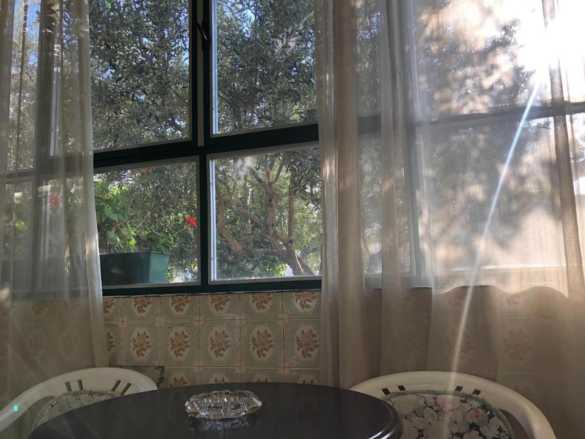Garden Apartman Сплит Екстериор снимка